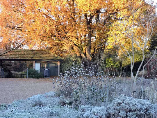 Beth Chatto Christmas Fair 