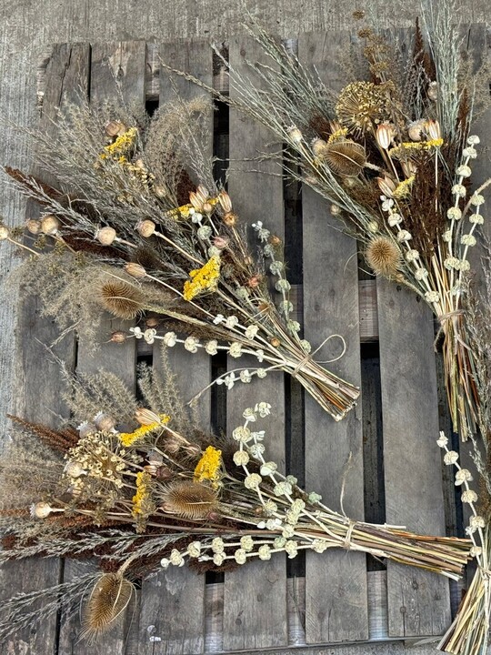 Beth Chatto's Dried Flowers 