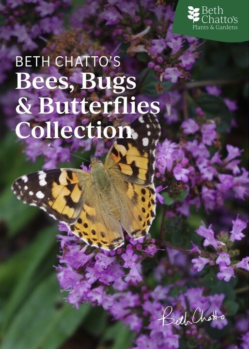 Beth Chatto's Bees, Bugs & Butterflies Collection