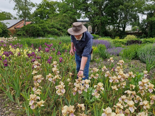Iris Masterclass with Marc McHearne