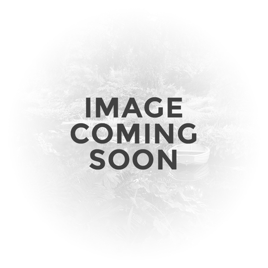Molinia caerulea subsp. caerulea 'Heidebraut'