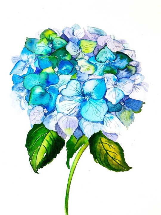 Modern Botanical Painting Workshop