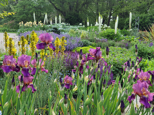 The Art of Plant Combination