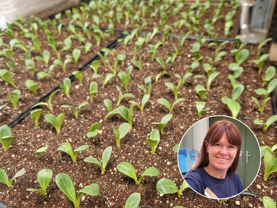 Seed Propagation Masterclass with Emily Allard