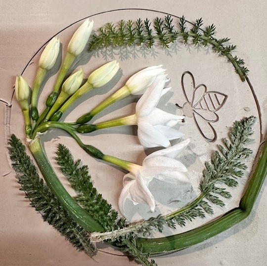 Botanical Casting Spring Bulbs 