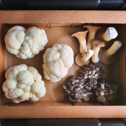 The Sustainable Supper Club June