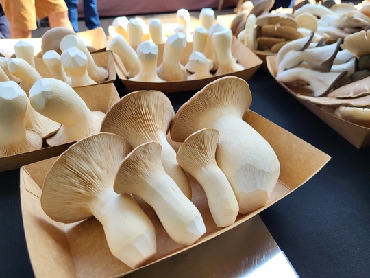 The Sustainable Supper Club June