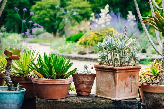 Beautiful Containers