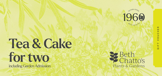 Tea & Cake for 2 Gift Voucher