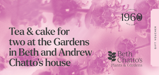 Tea & Cake at the Gardens in Beth and Andrew Chatto's house Gift Voucher