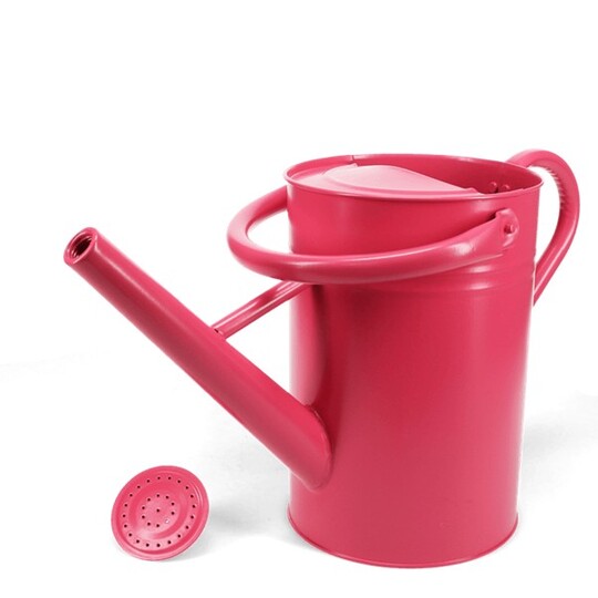 Galvanised Steel Watering Can 4.5L