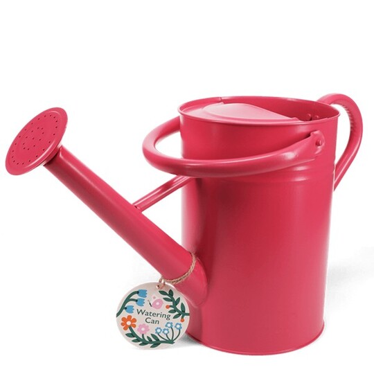 Galvanised Steel Watering Can 4.5L