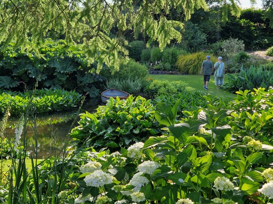 Summer Solstice in the Garden 