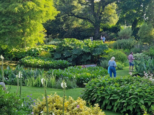 Summer Solstice in the Garden 