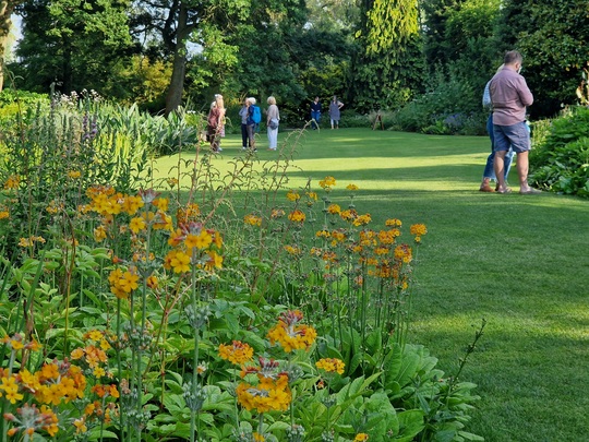 Summer Solstice in the Garden 