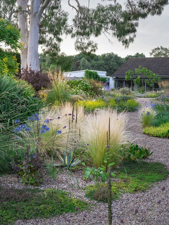 Dry Garden Border