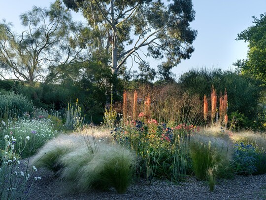 A Practical Guide to Creating a Year-Round Border