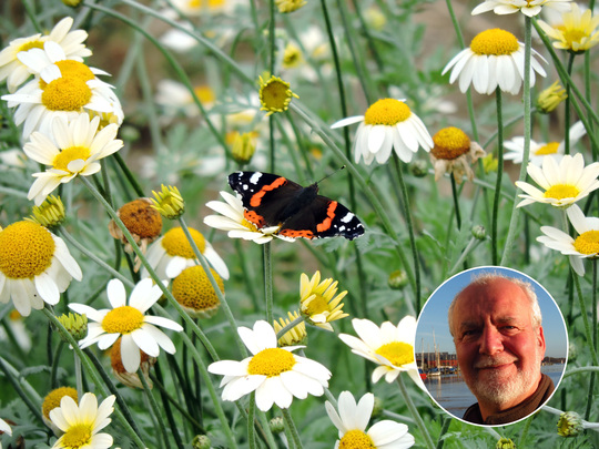 Wildlife Walk with Dr Chris Gibson