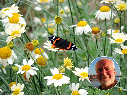 Wildside walks at Beth Chatto Gardens 