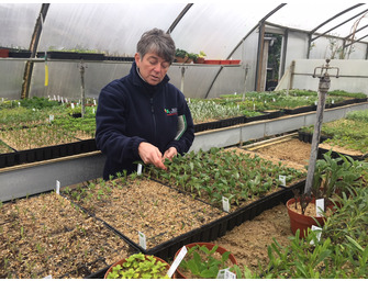 RHS L2 Certificate in the Principles of Plant Growth & Development 