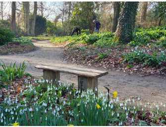 Snowdrop Walk