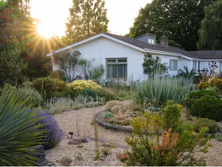Summer Solstice in the Garden