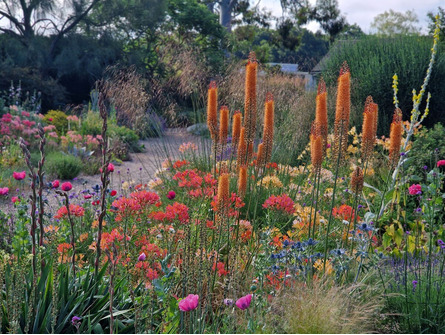 Focus on Border Design 