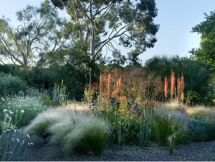 Practical Guide to Creating a Year Round Border