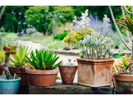 Beautiful Containers