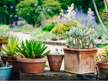 Beautiful Containers