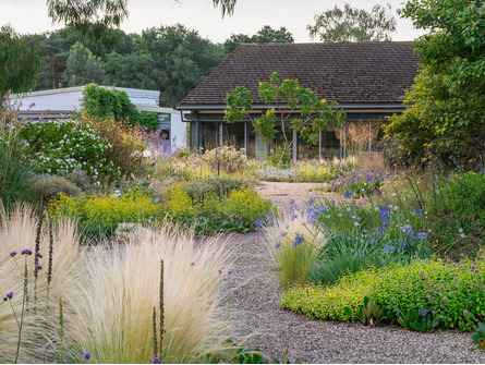 Greener Gardening