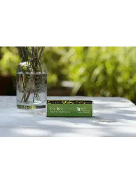 Tea Tree Essential Oil