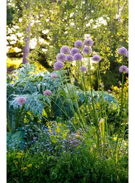 Beth Chatto Greetings Card