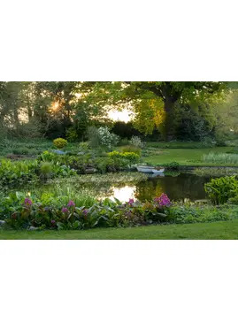 Beth Chatto Greetings Card