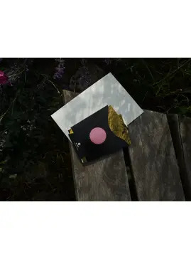 The Meanwhile Garden Zine #1