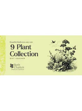9 Plant Collection Voucher 