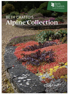 Beth Chatto's Alpine Collection