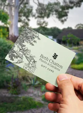Beth Chatto Gift Card