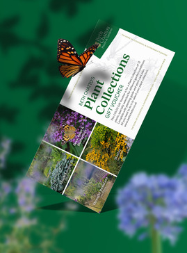 £95 Plant Collections Gift Voucher