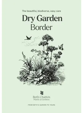 Dry Garden Border