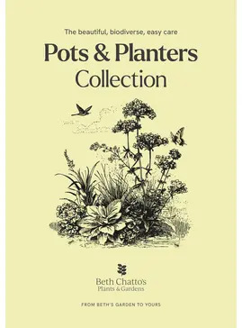 Pots and Planters Collection - Sun 