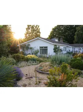 Summer Solstice in the Garden