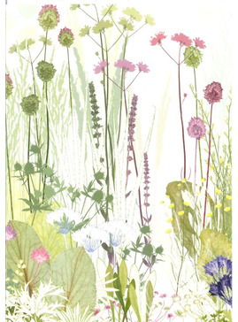 Beth Chatto Card - Beth's Garden