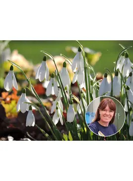 Bulb Chipping Masterclass 