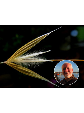 Botany for Gardeners