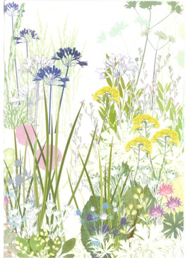 Beth Chatto Card - Dry Garden