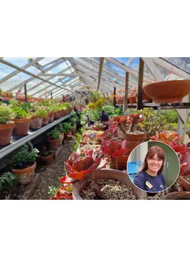 Succulents Masterclass with Emily Allard 