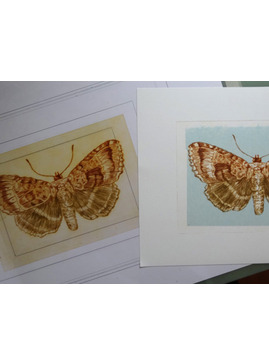 Drypoint Etching and Chine Colle'