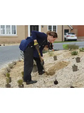 Planting in Sand and Rubble Course