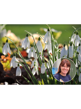 Bulb Chipping Masterclass with Emily Allard
